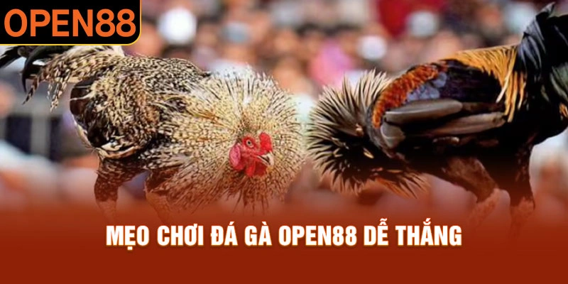 Nắm rõ mẹo để chinh chiến đá gà Open88 thắng chắc